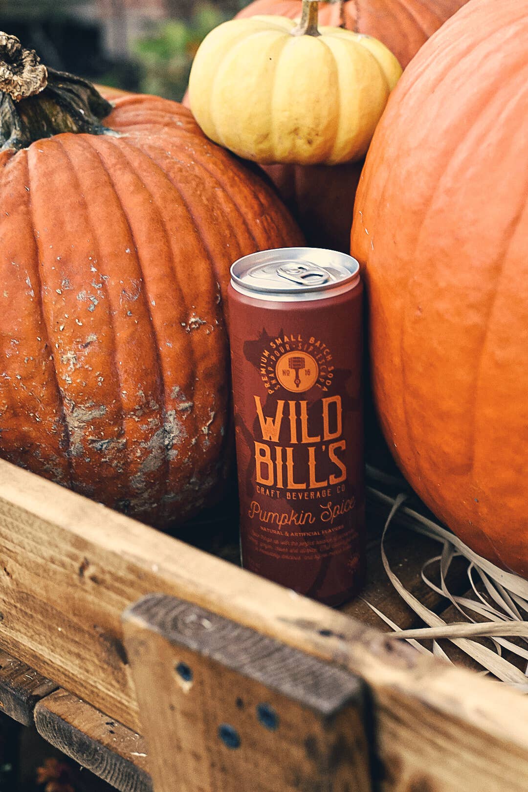 Wild Bill's Pumpkin Spice Premium Cane Sugar Soda