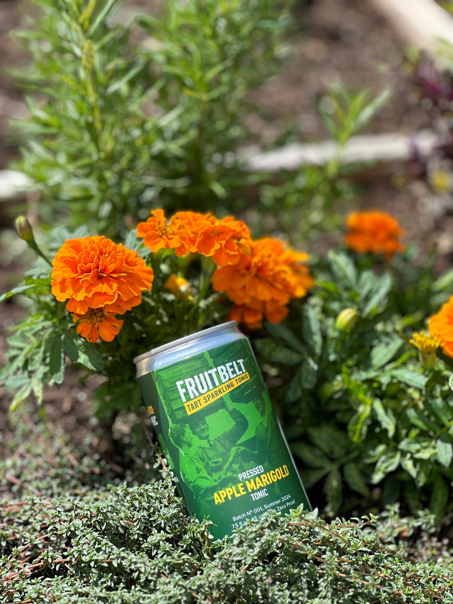 Fruitbelt Apple Marigold Tonic 4-pack