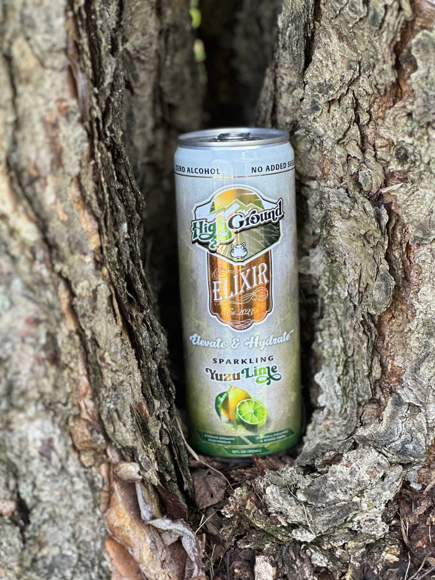 High Ground Mushroom Seltzer Yuzu Lime 4-pack