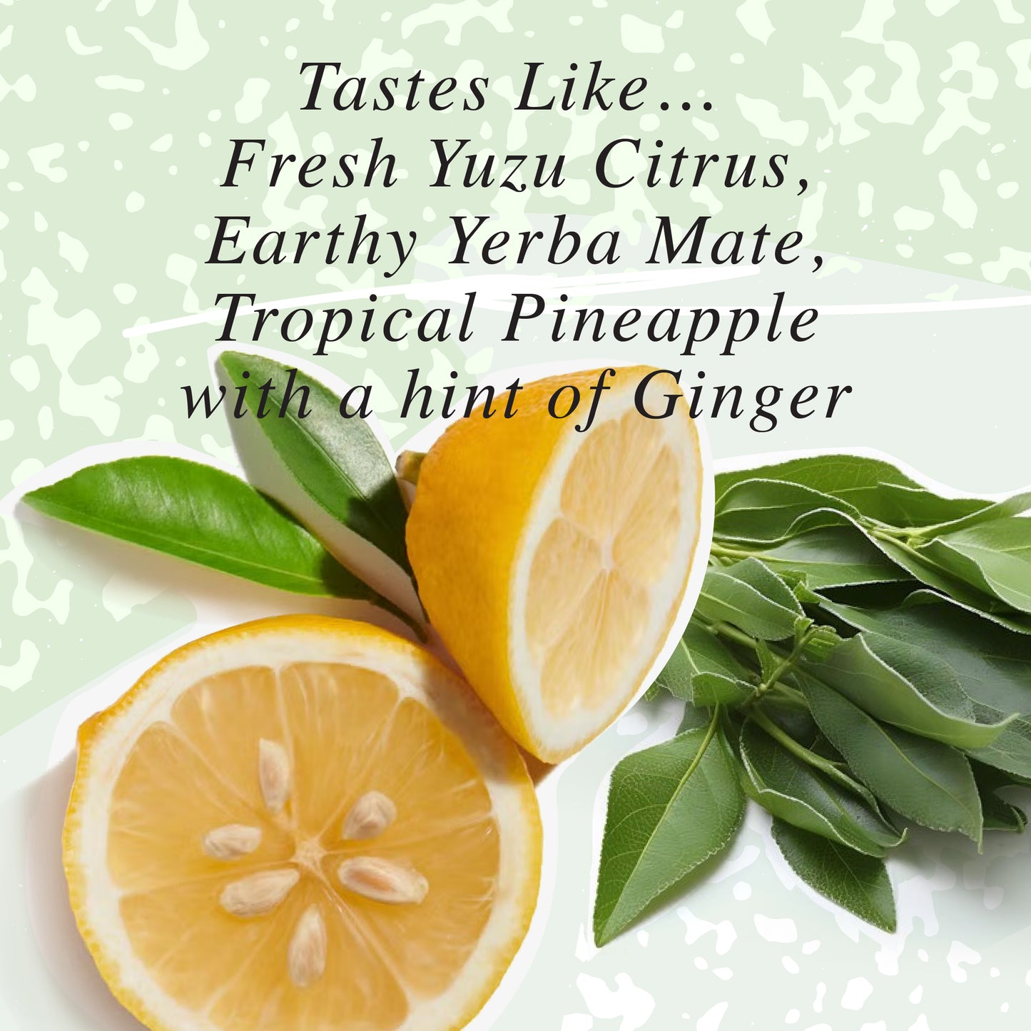 The NA Beverage Company Further Yerba Mate Yuzu Functional Mocktail ( 1 LEFT)